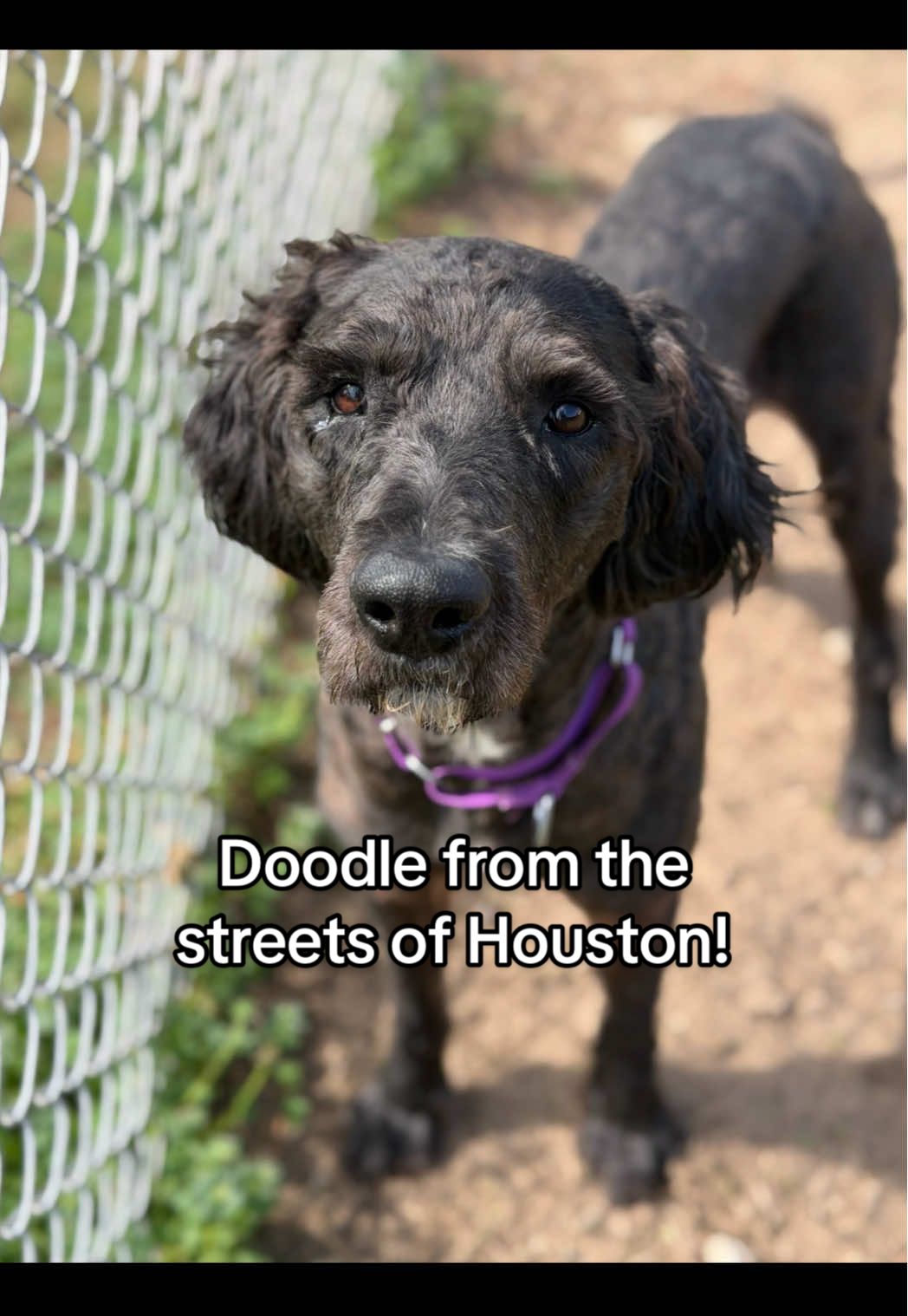 @Corridor Rescue Inc.