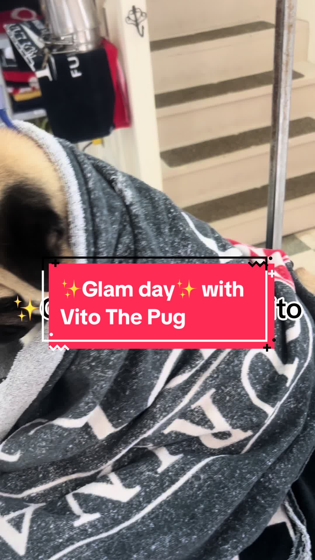 @Vito The Pug