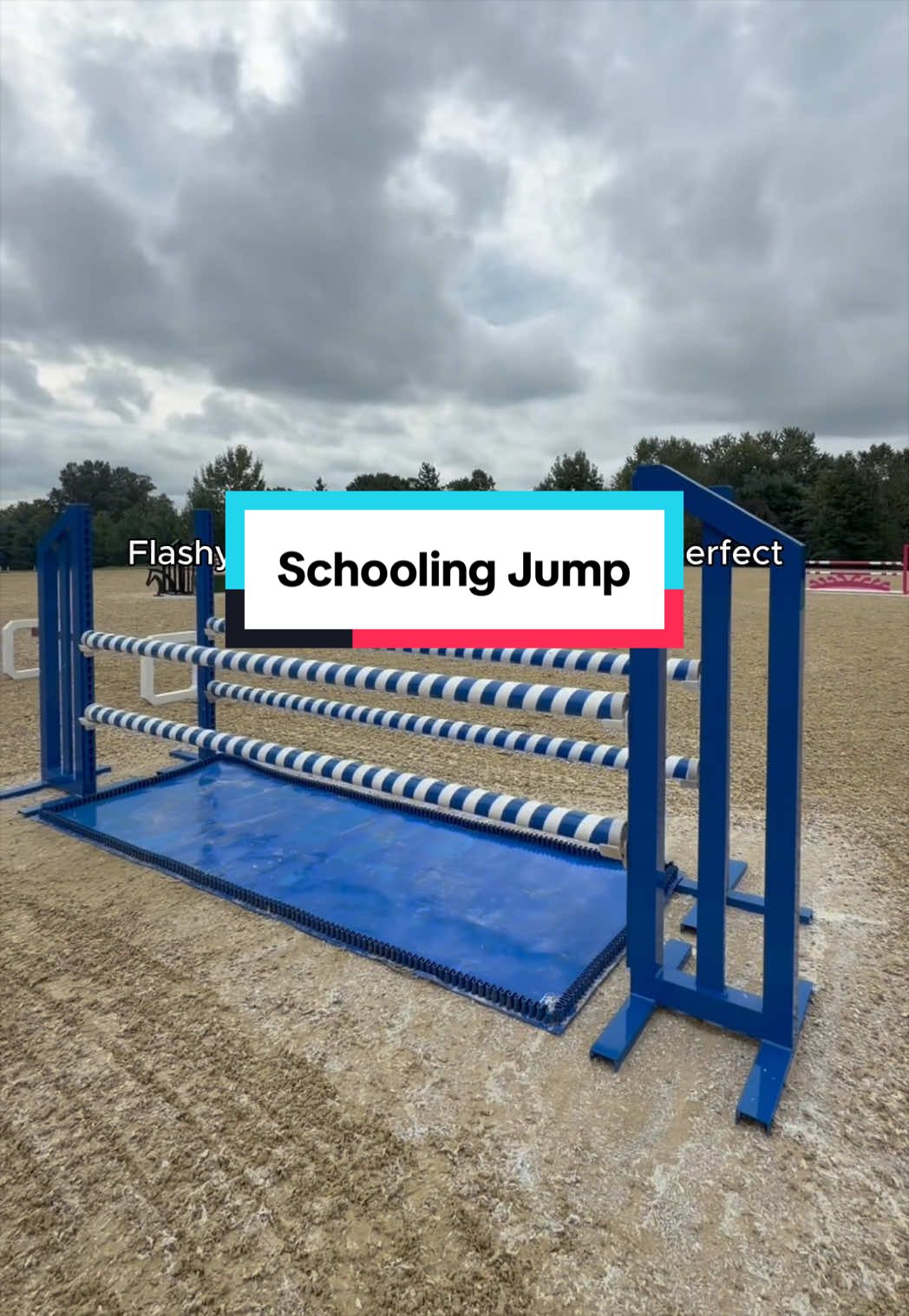 @Dalman Jump Co