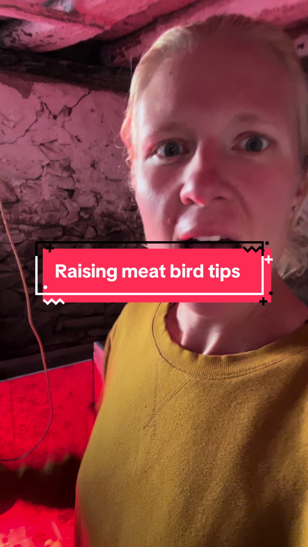 @littlesandycreekfarm