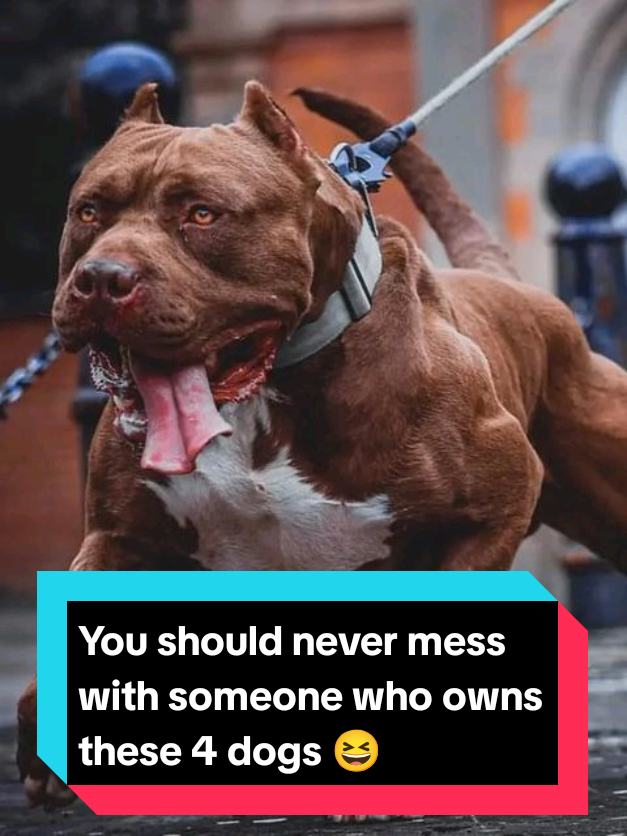 @Richy Beast