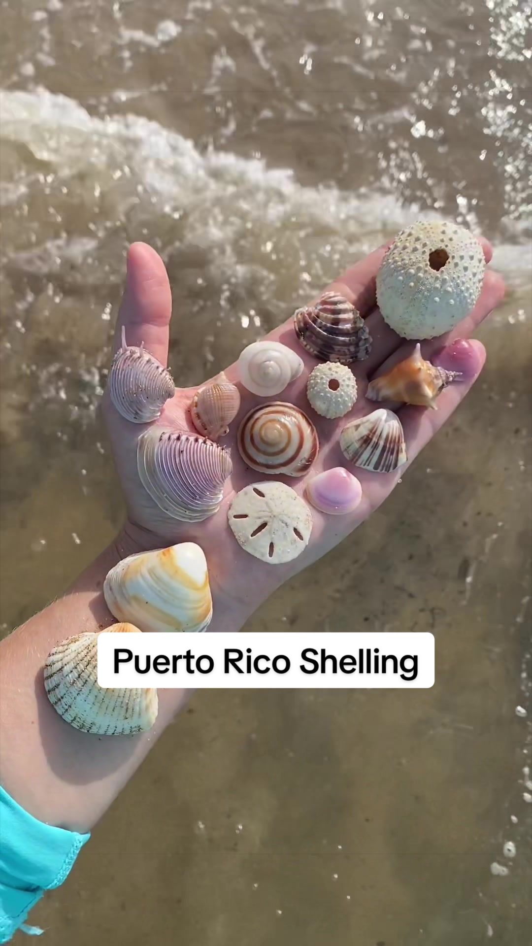 @🐚Jojo🌴