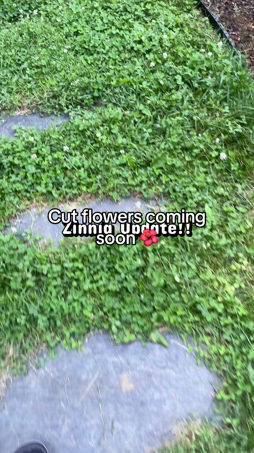 @justgenuinelyjen