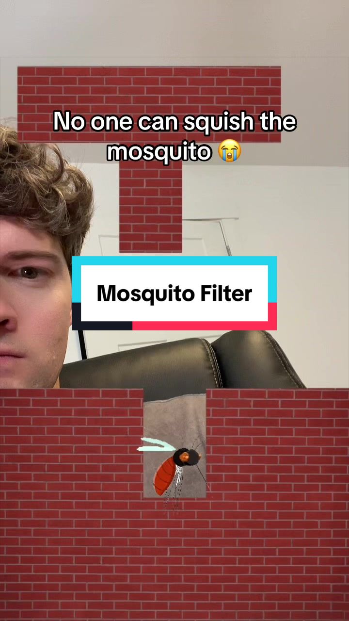 @The Real Filter Dude