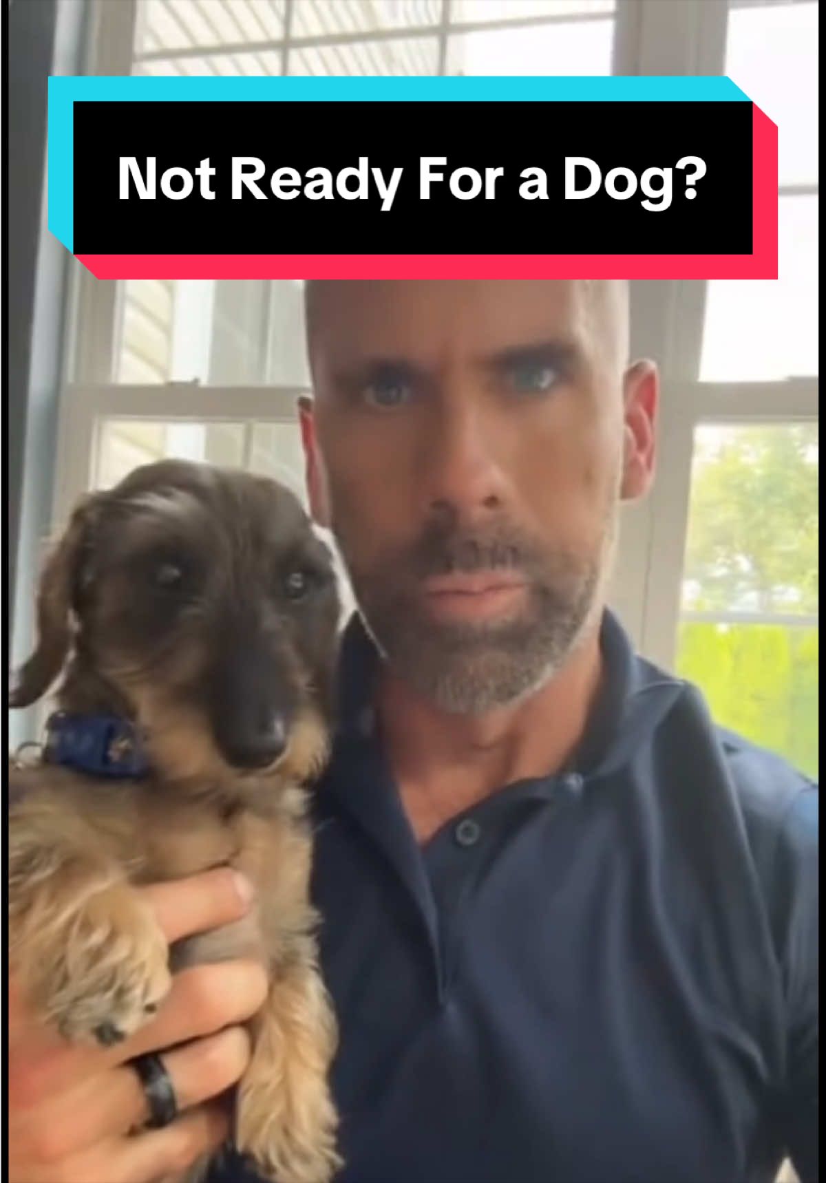 @dr.adam_christman_Veterinarian