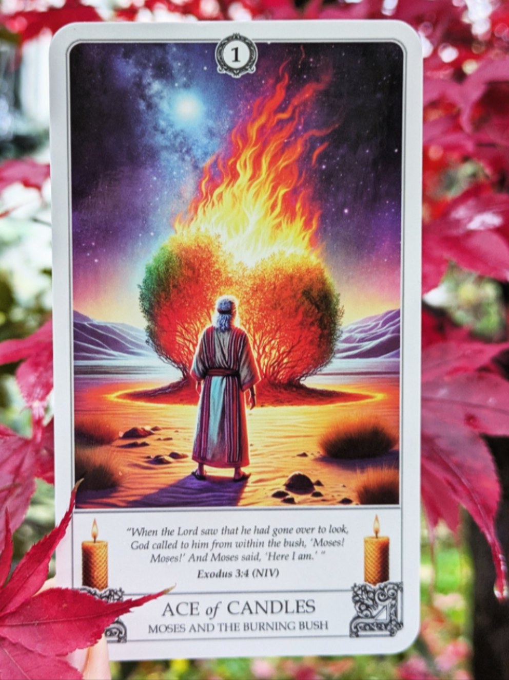 @Biblical Tarot