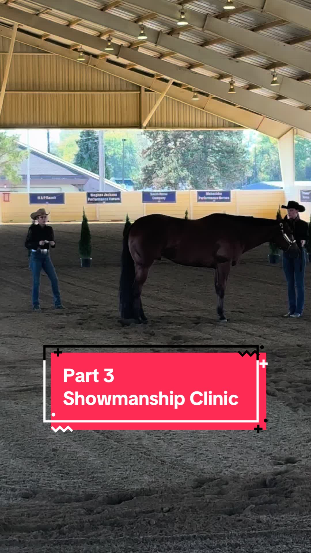 @yourhorseandponyleader