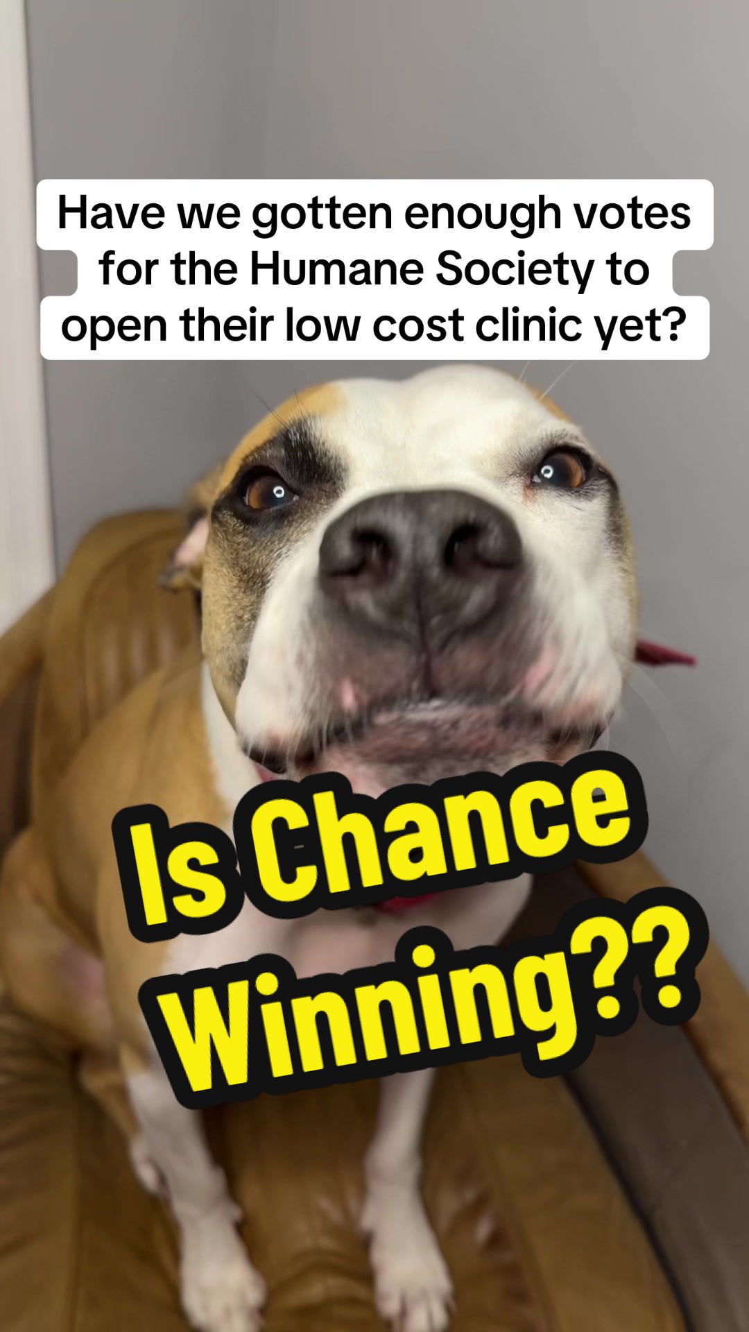 @Chance and Co