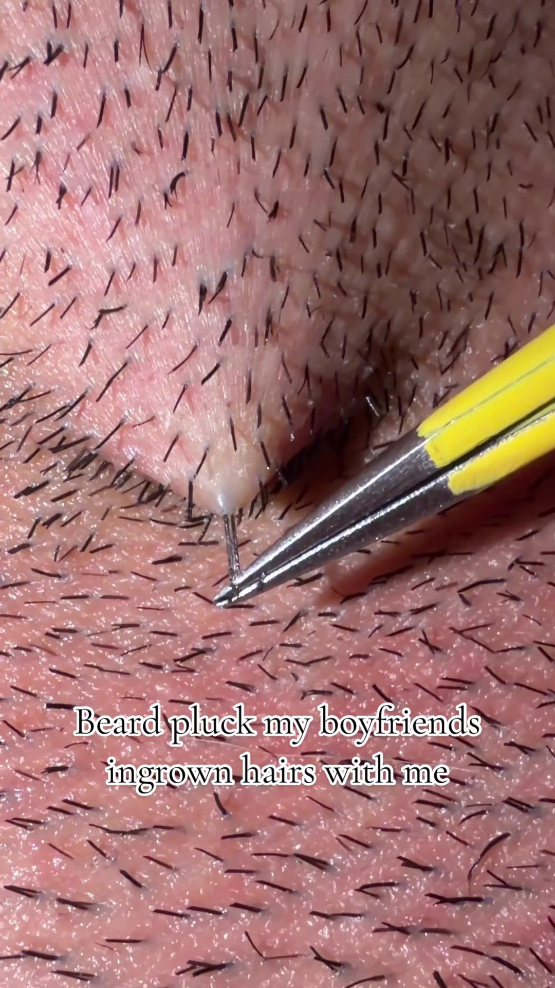 @GroomingMyGrizzly