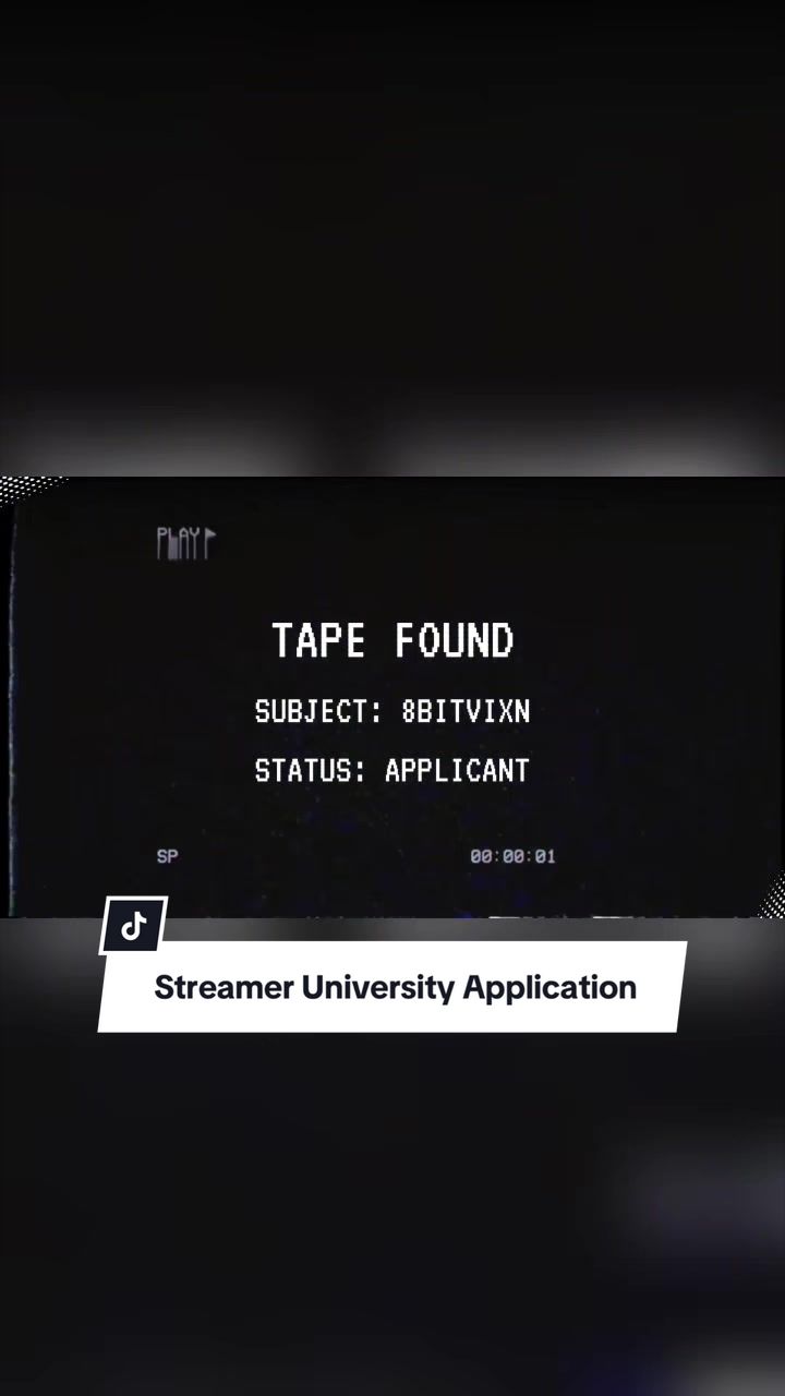 @8BitVixn🦇Twitch Streamer