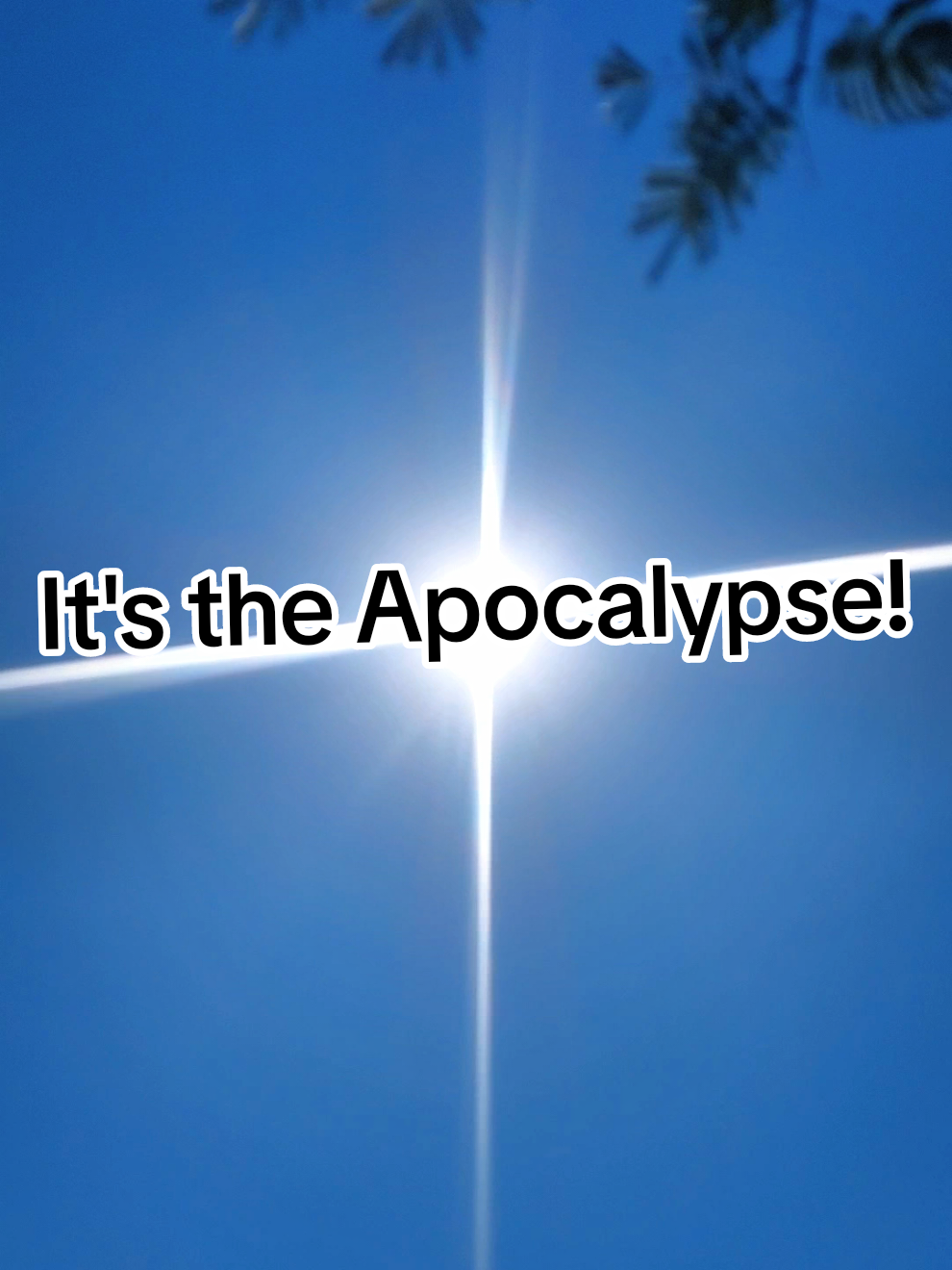 @My Apocalypse 777🪽