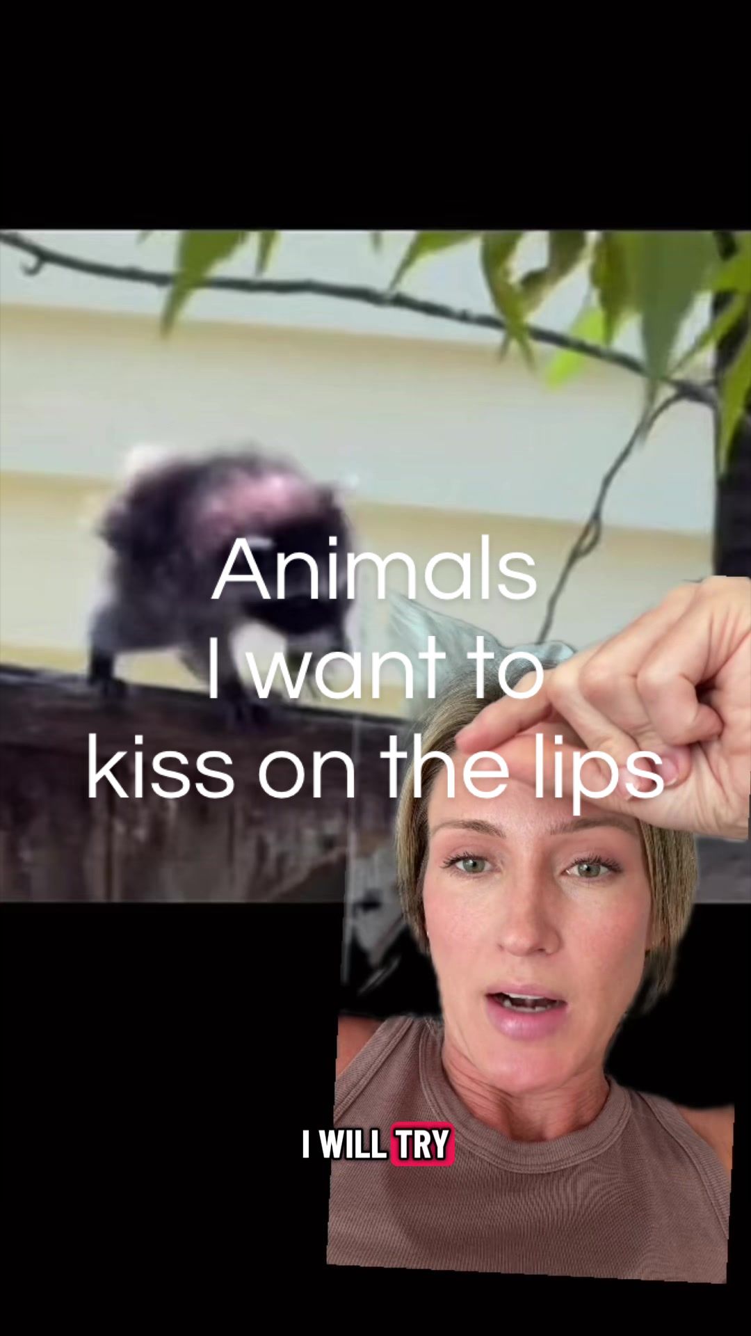 @SarahMakesMeLaugh