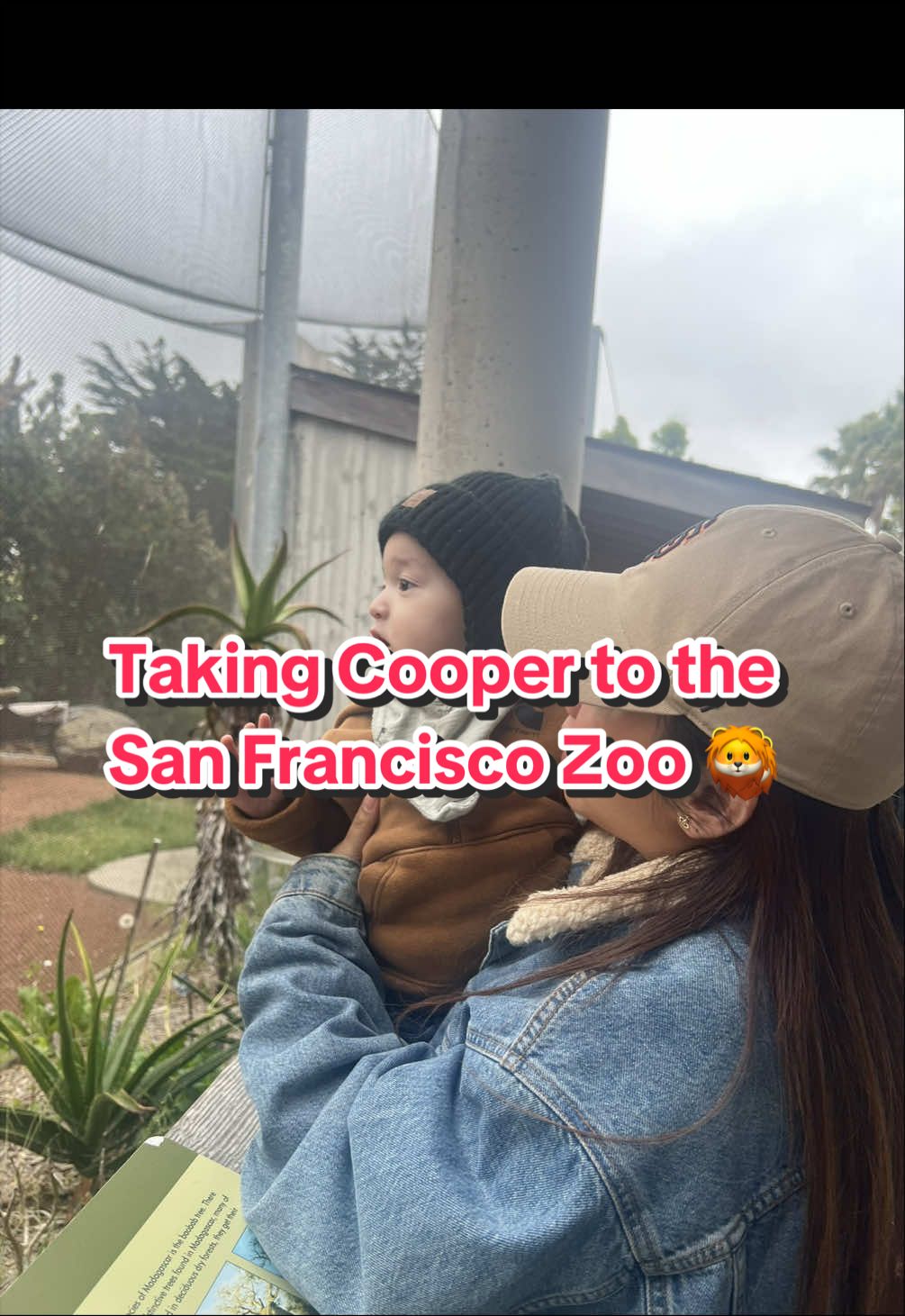 @thecoop.mom
