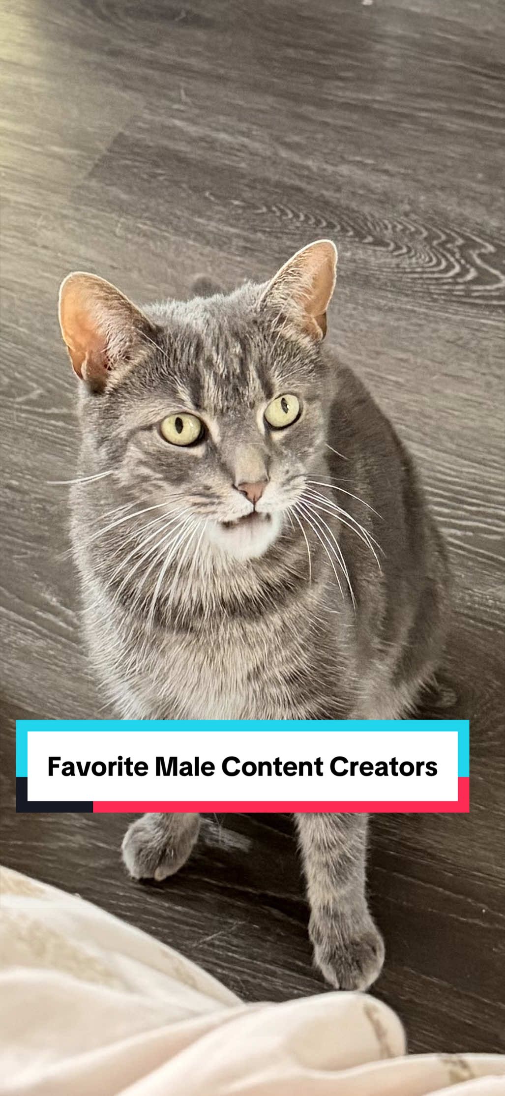 @Clarkie | Content Creator