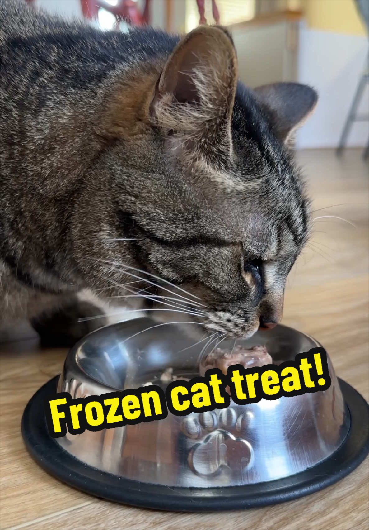 @Chip The Manx