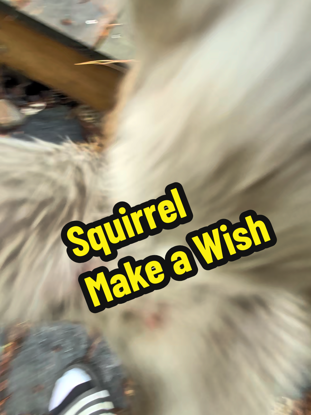 @Miss Bonnie McSquirrely