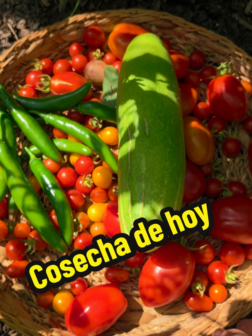 @Mi Rincón Favorito