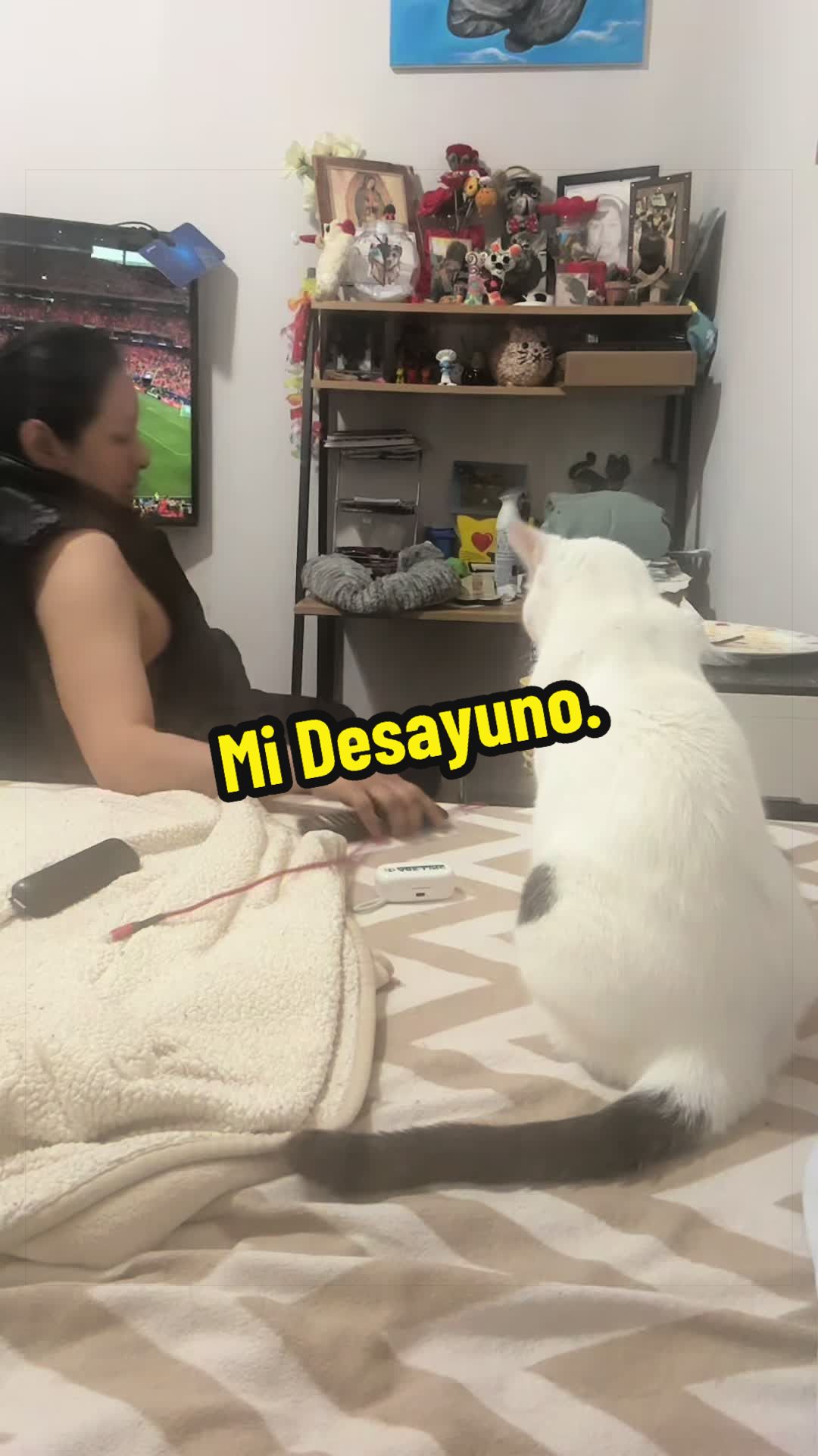 @🦖 MEOWassic CAT😺