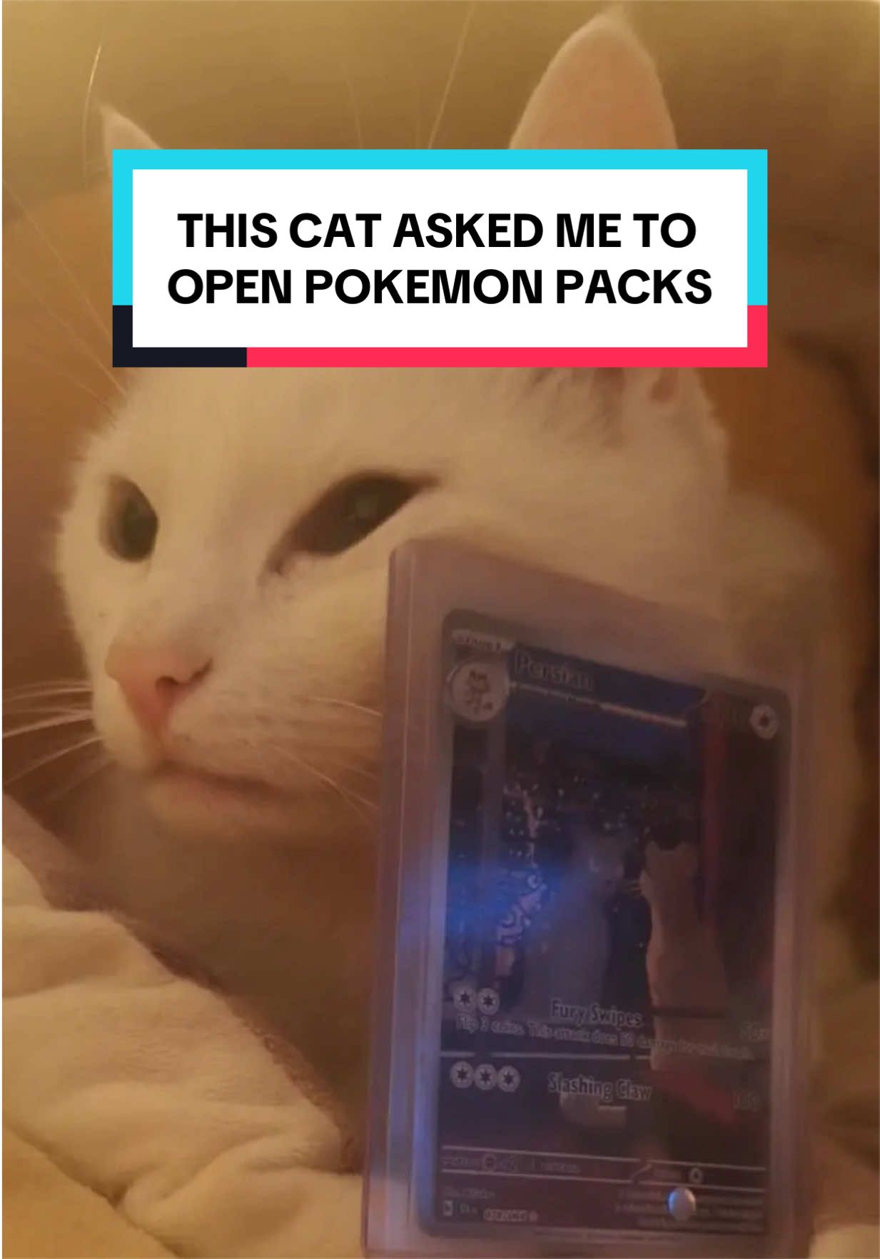 @powdr tcg