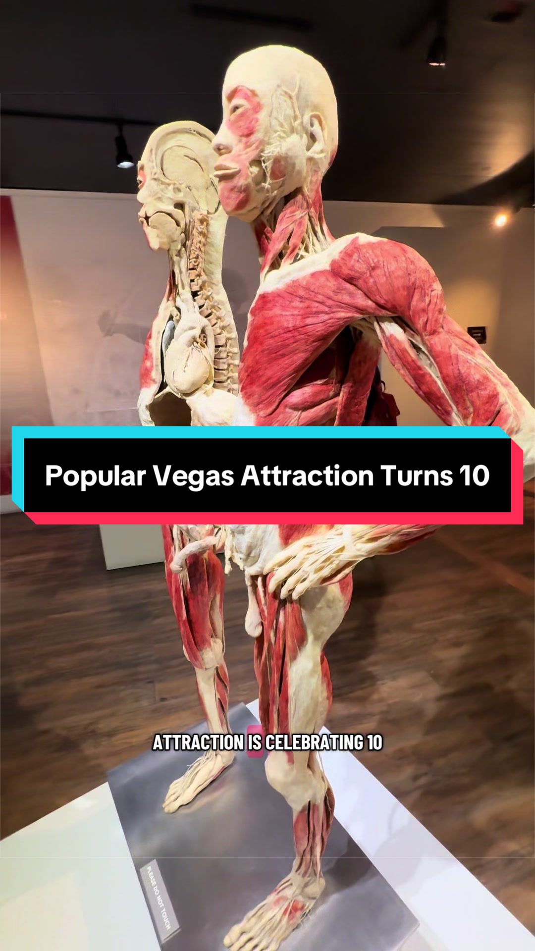 @VegasStarfish