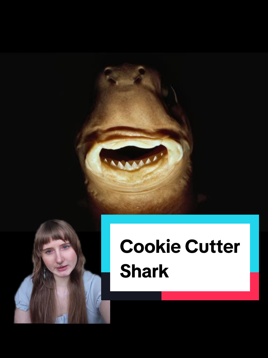 @Brooke Fitzwater, PhD