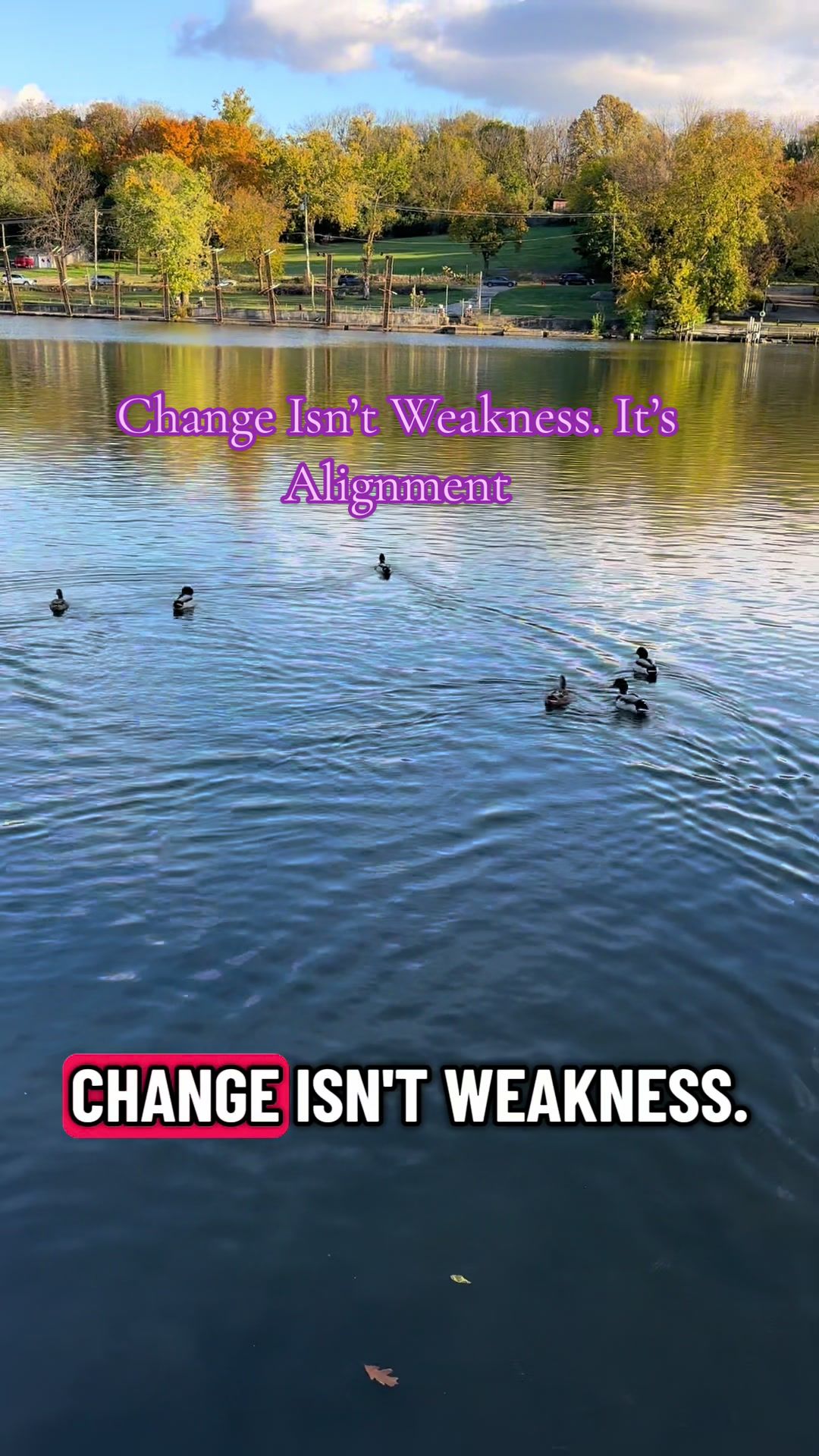 @Mindset & Fitness Coach