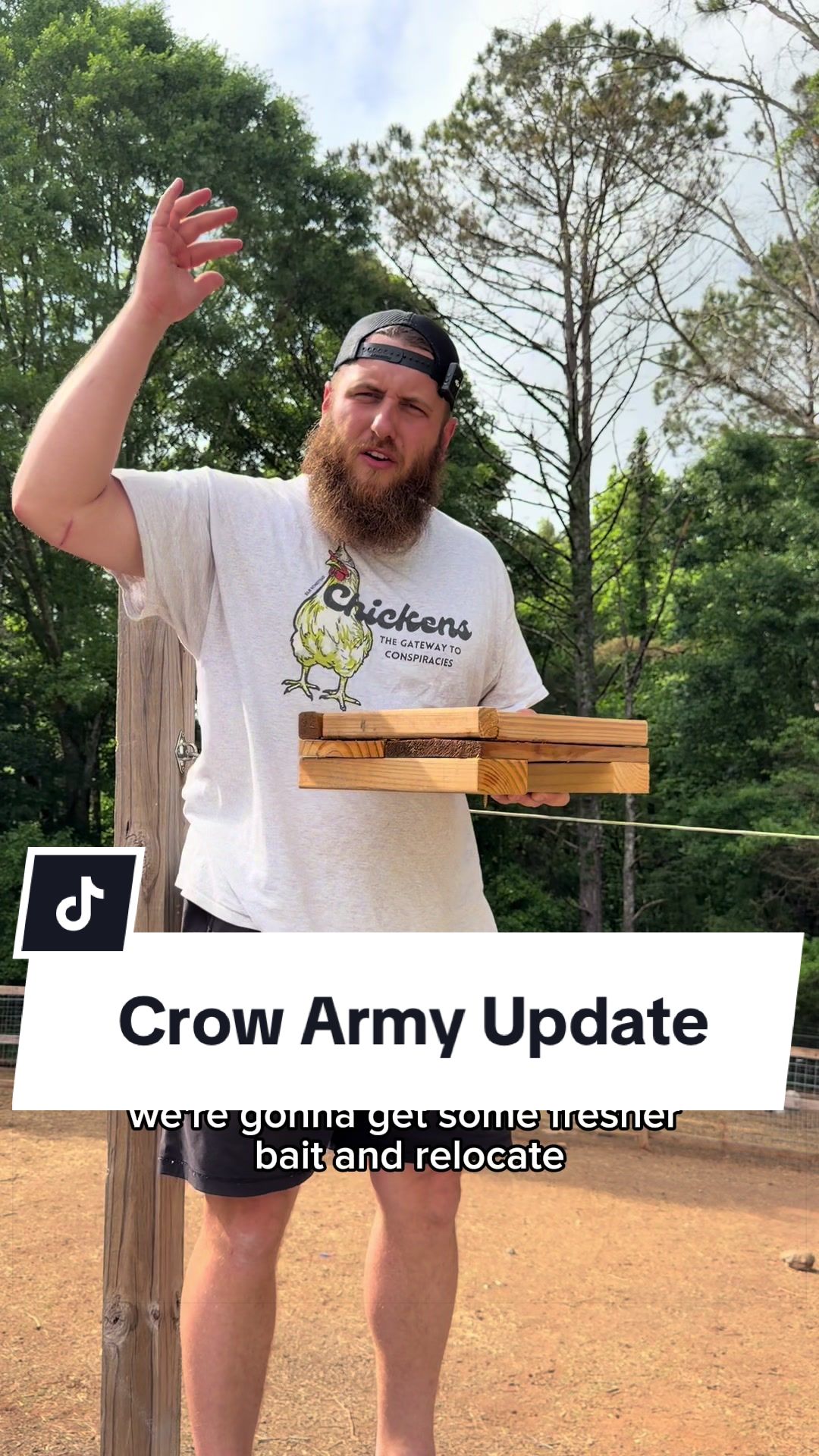 @Bandrhomestead