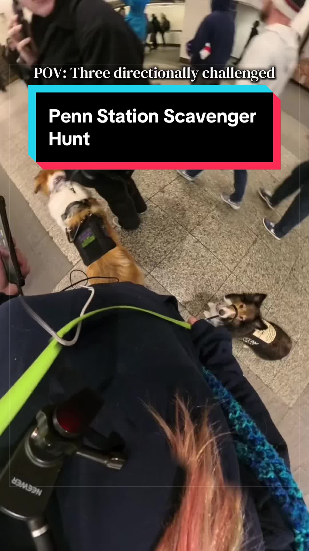 @Dakota & Pups