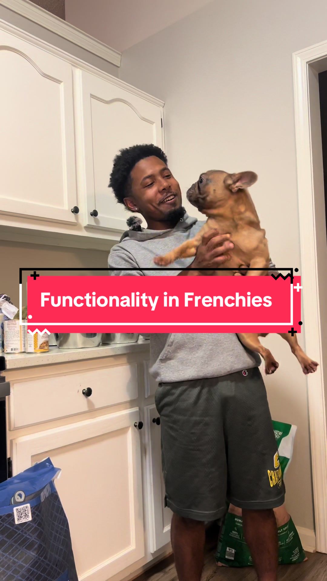 @⭐️ 5 Starr Frenchies ⭐️