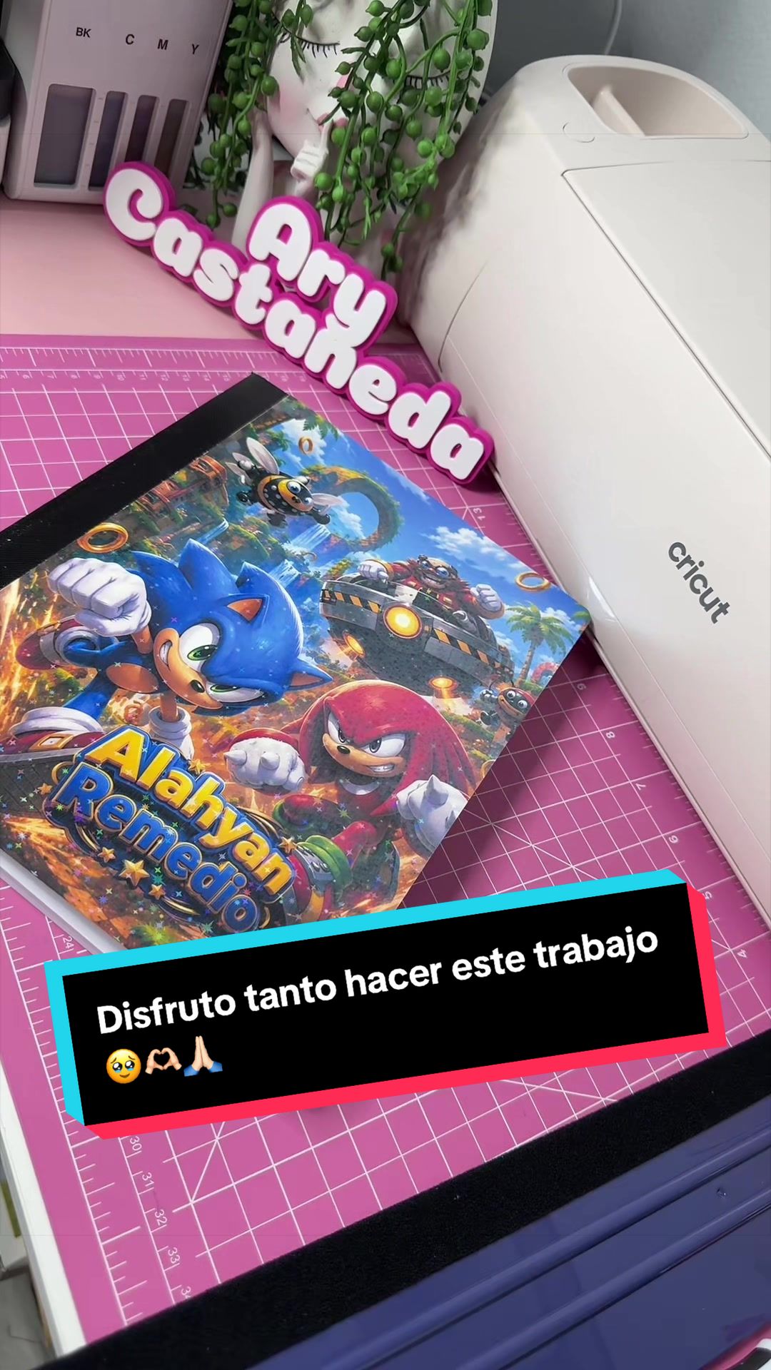 @ary_castanedan