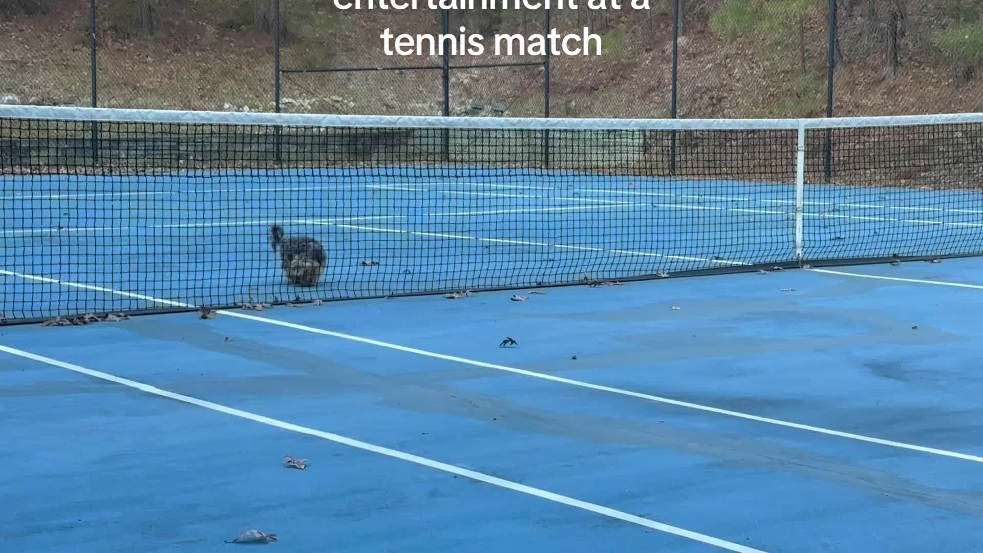 @RS,MD