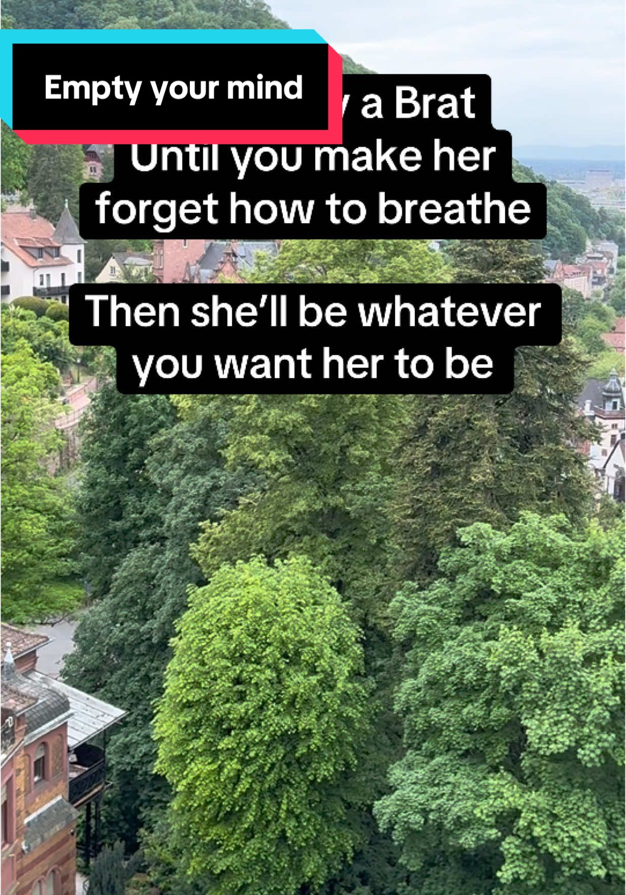 @intense.desires | Brat Hacker