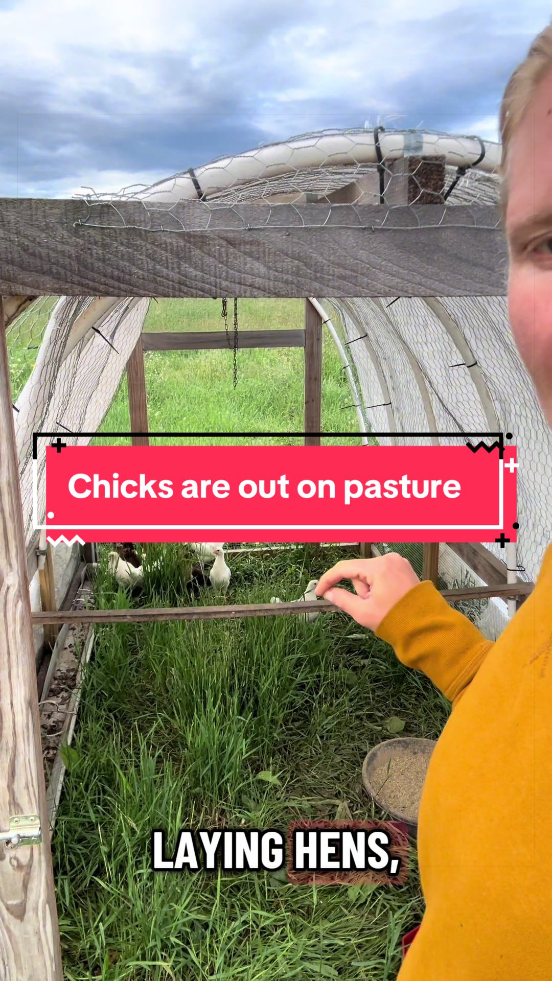 @littlesandycreekfarm