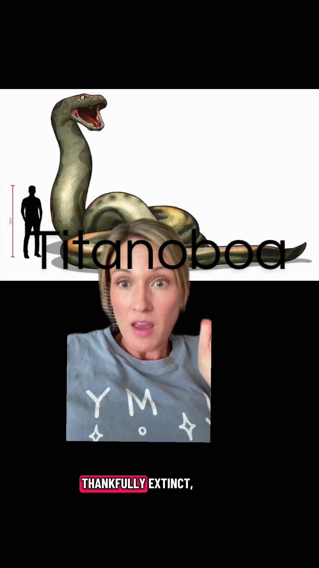 @SarahMakesMeLaugh
