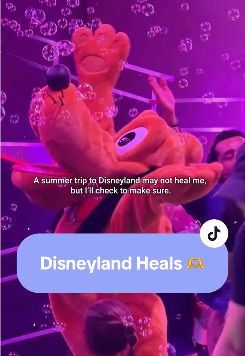 @Disney Parks