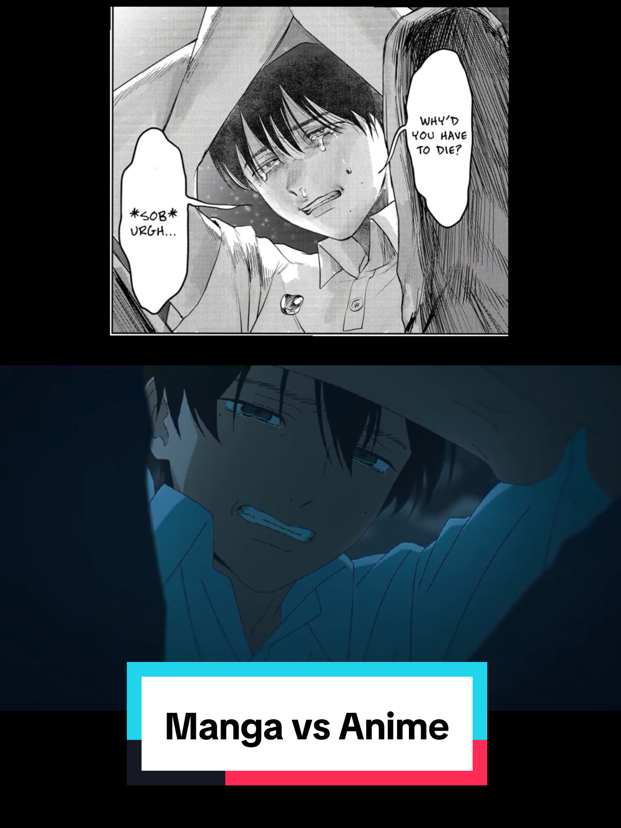 @✨️⁷