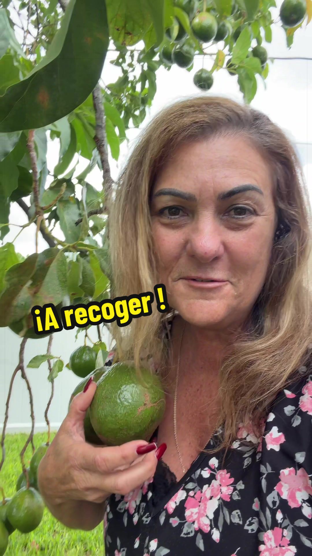 @Aprendiendo con Ana