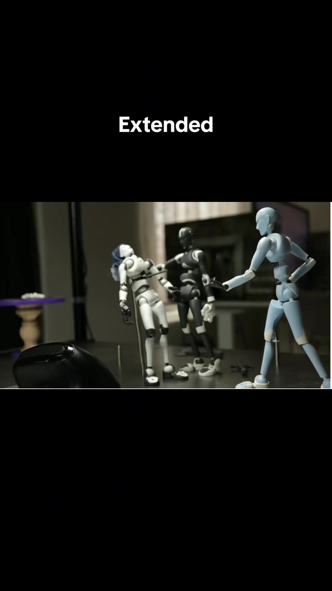 @fiascostopmotion
