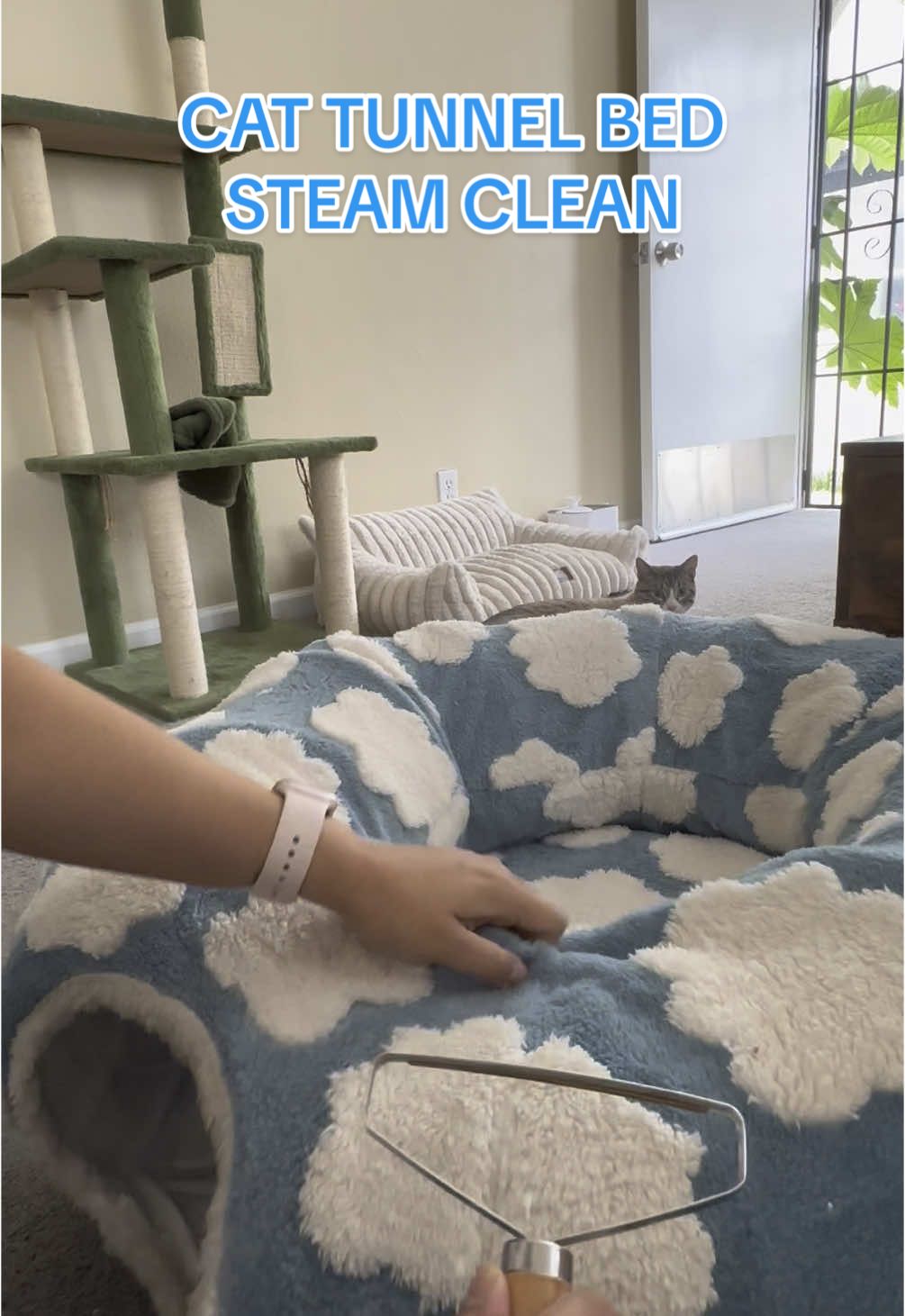 @SueCleansIt