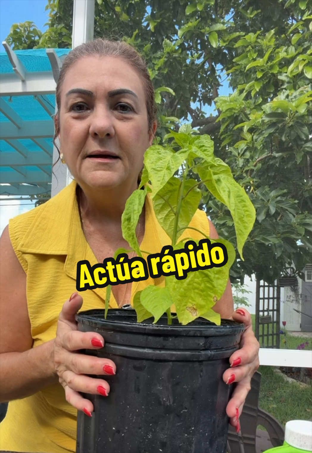 @Aprendiendo con Ana
