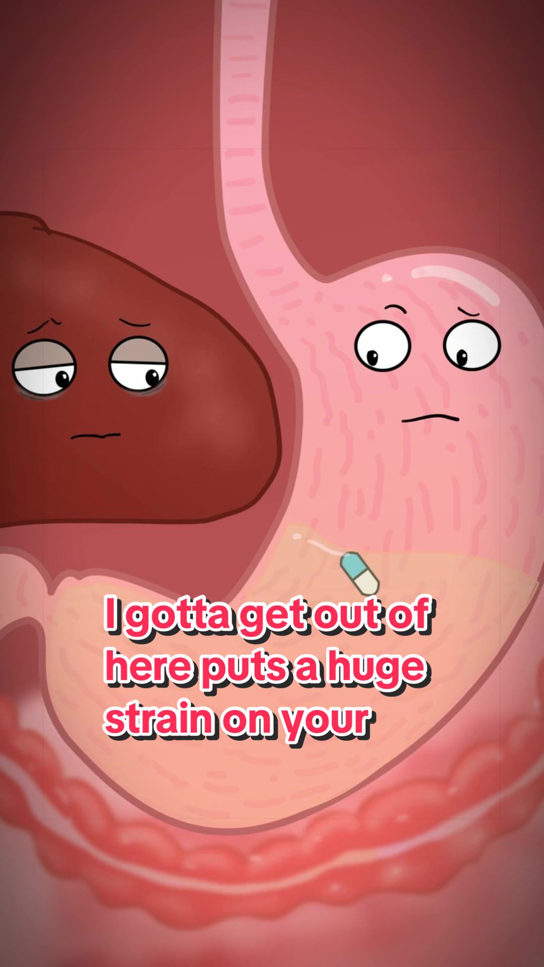 @Funny Animations