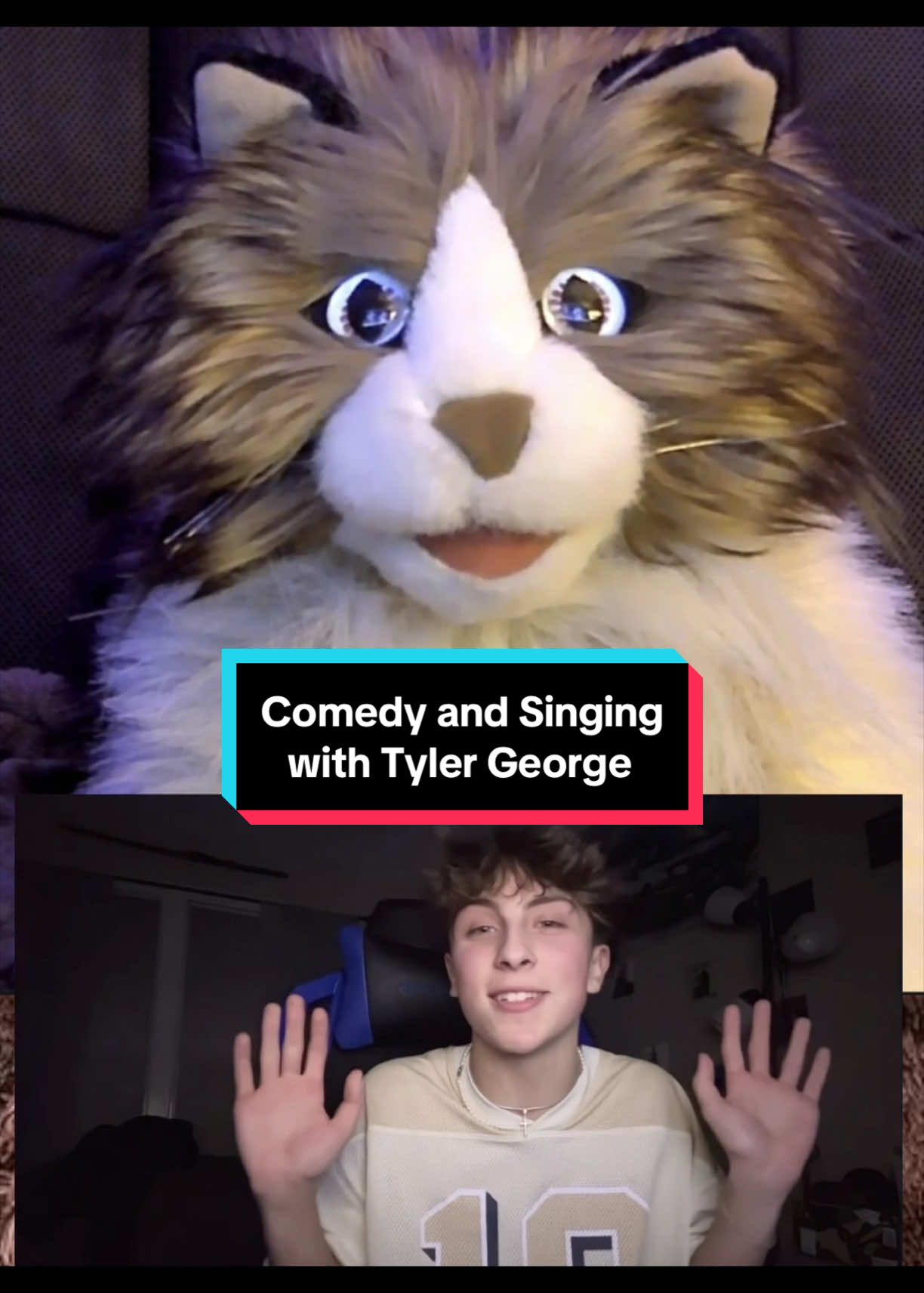 @PeterPrankster