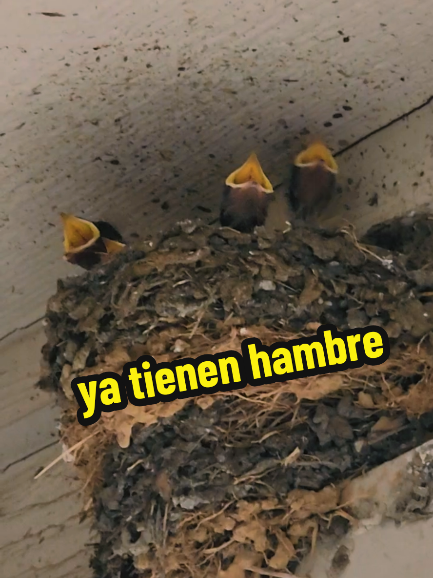 @Mi Rincón Favorito