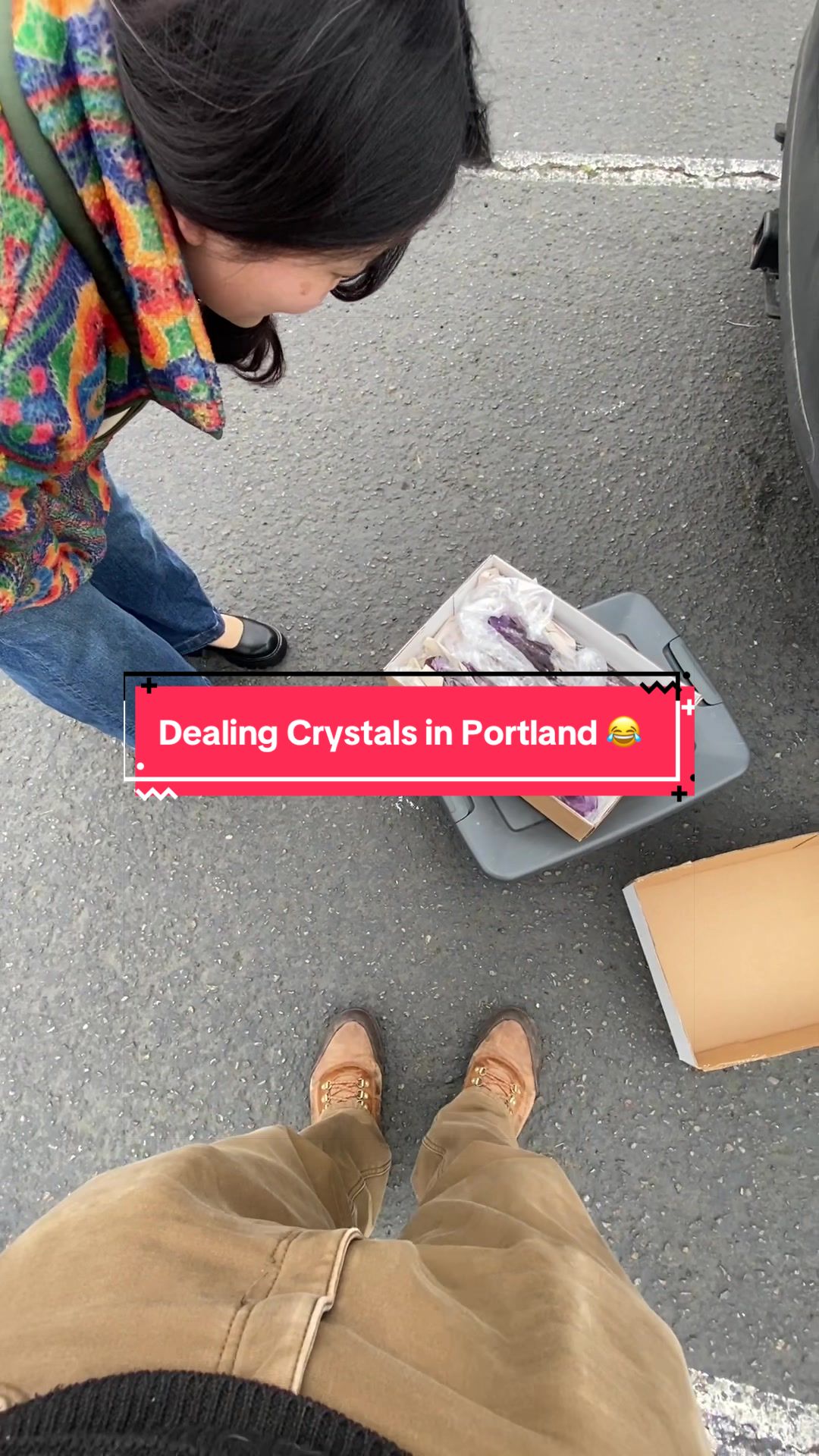 @🔮CrystalPacifica🔮