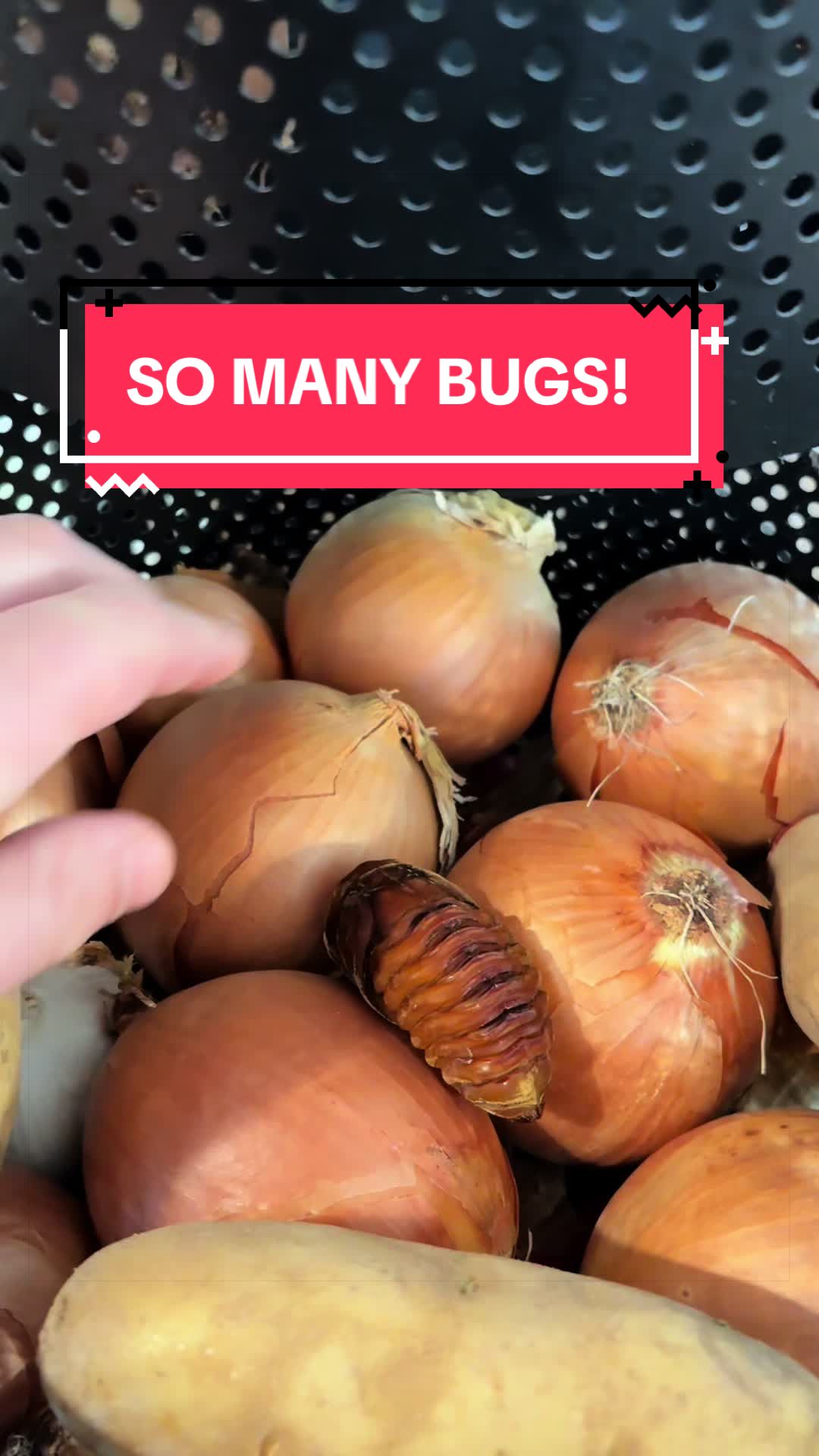 @DoctorBugz