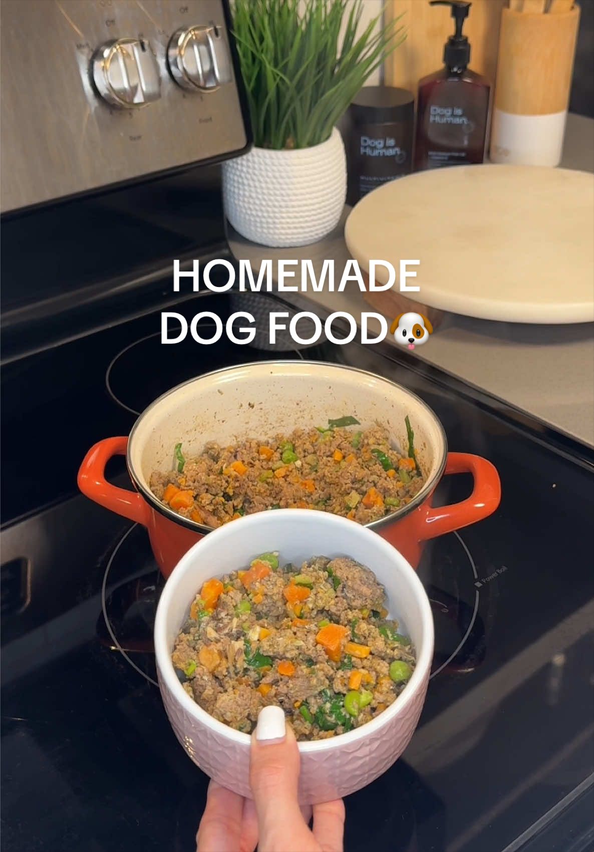 @Dog Bites Daily