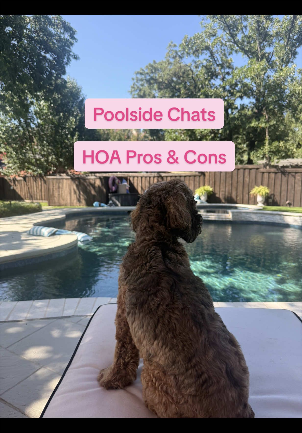 @Natalie Schock | DFW REALTOR®️