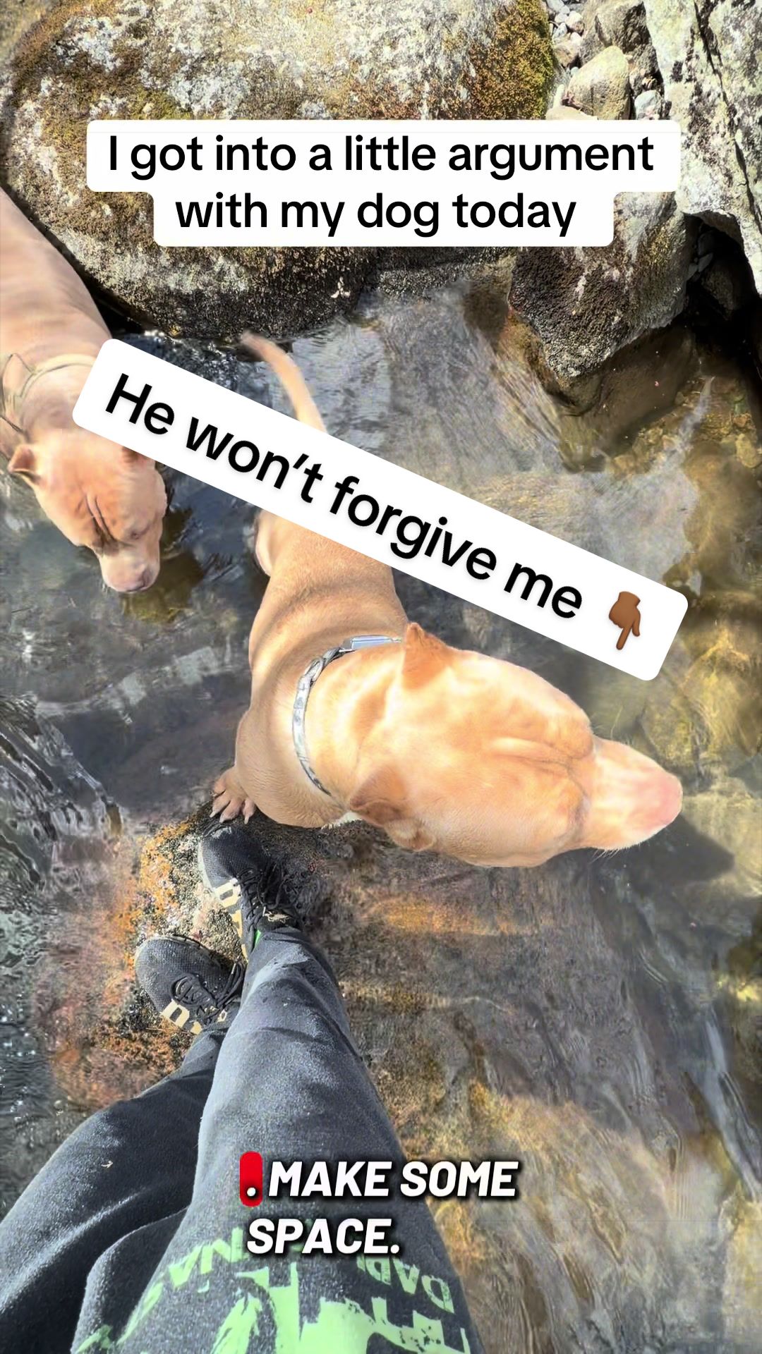 @DarkDynastyK9s