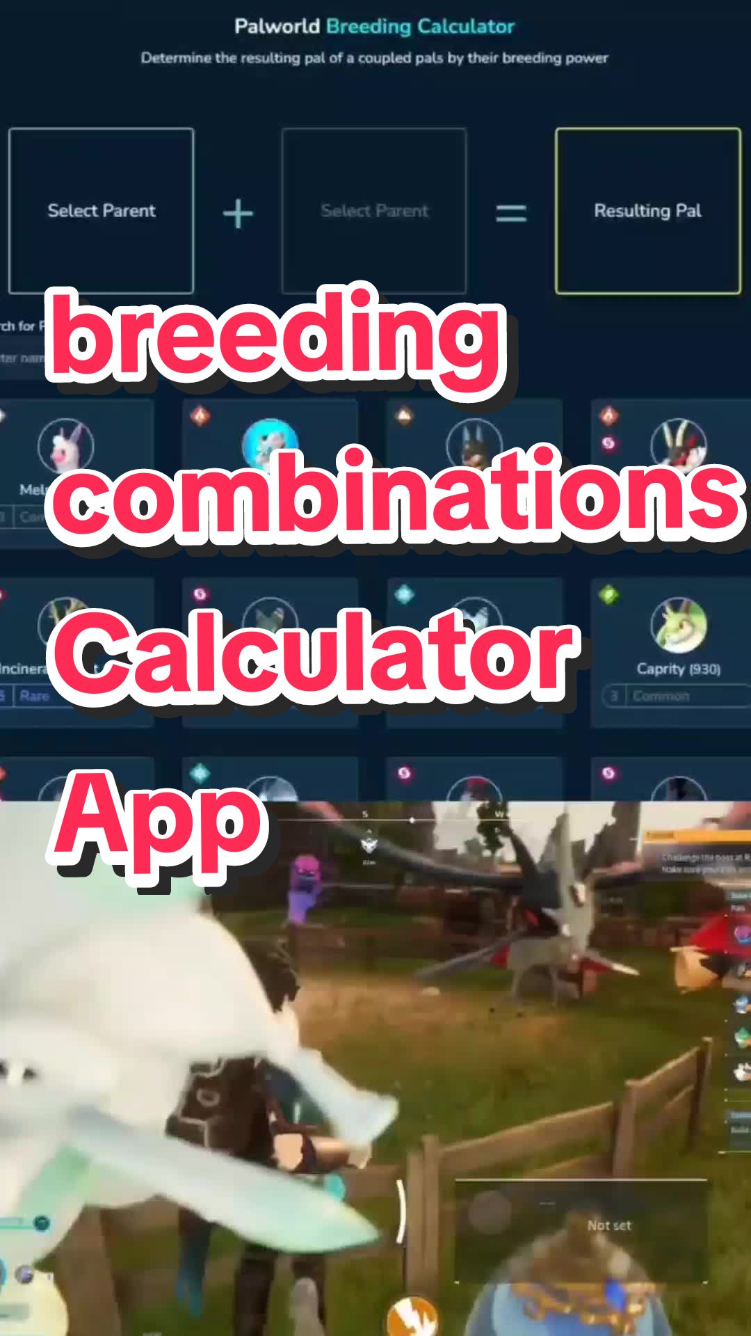 @palwordapk