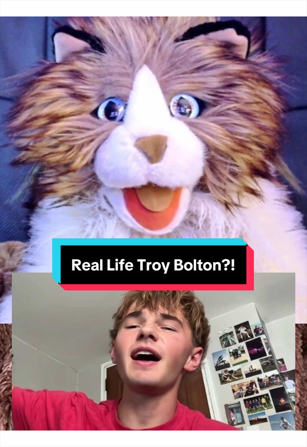 @PeterPrankster